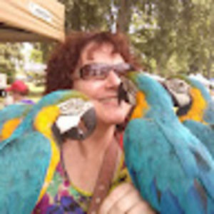 Meet your Posher, Daphne